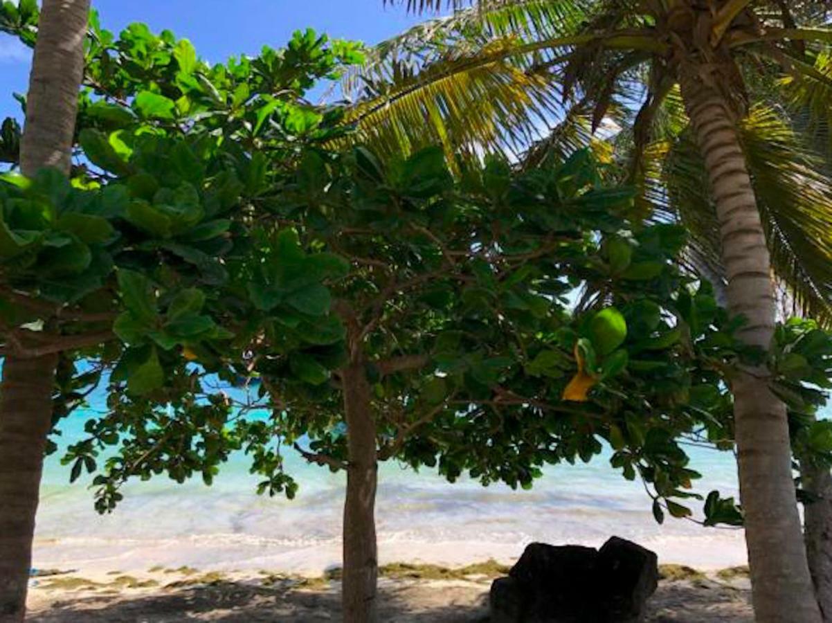 Bequia Beachfront Villa Hotel Friendship Exterior photo