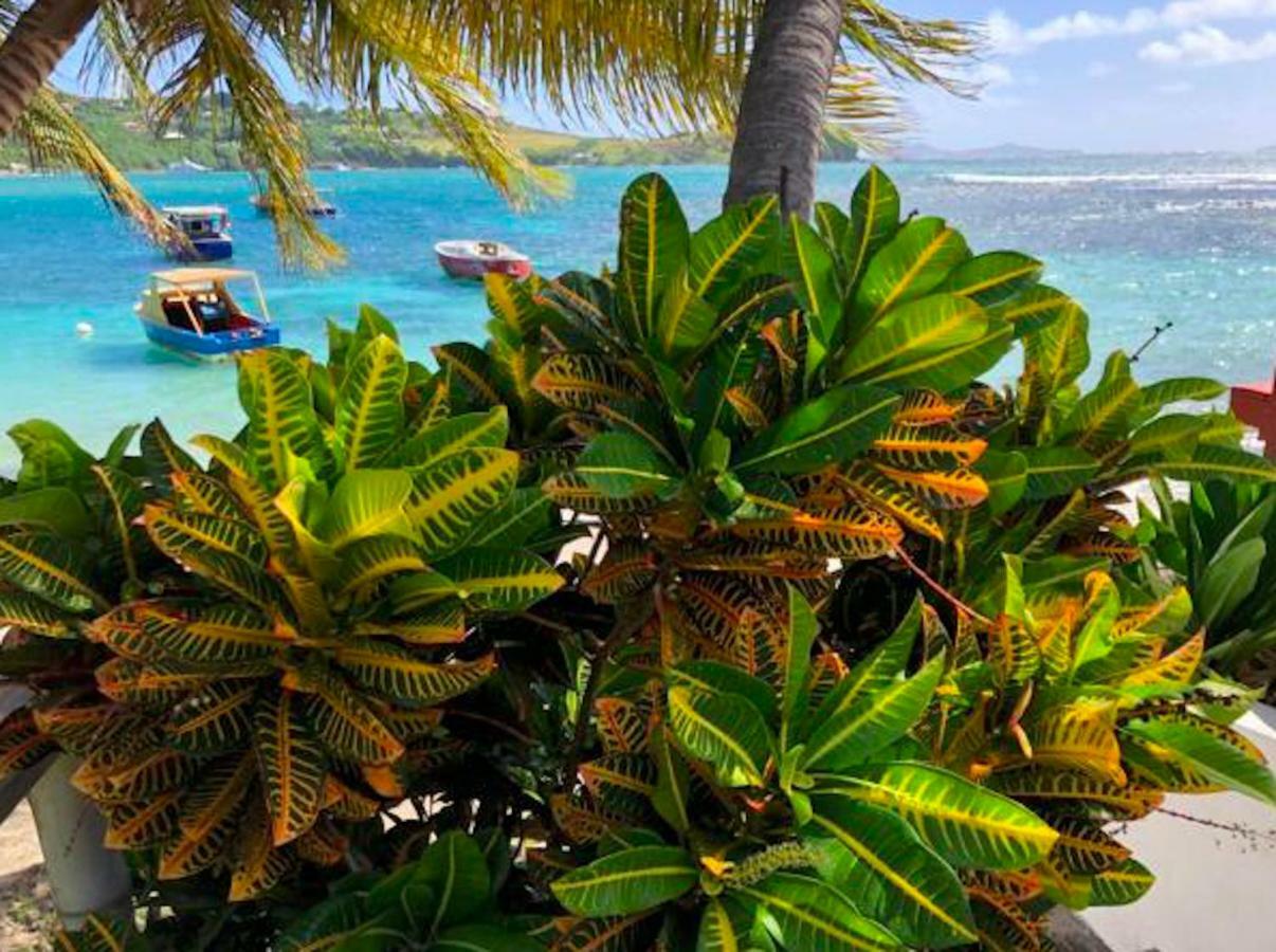 Bequia Beachfront Villa Hotel Friendship Exterior photo